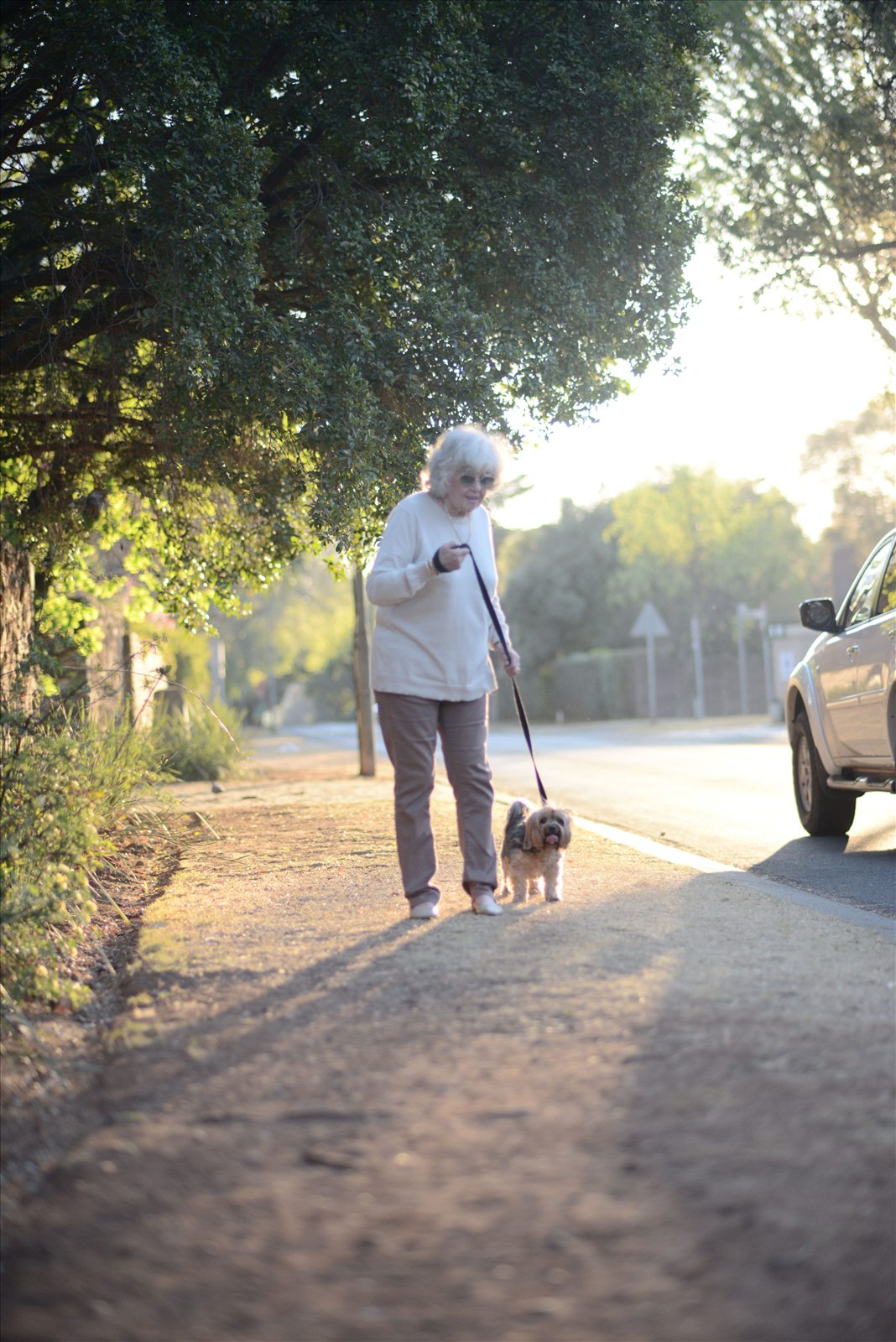 A woman taking her dog for a sunny neighborhood walk